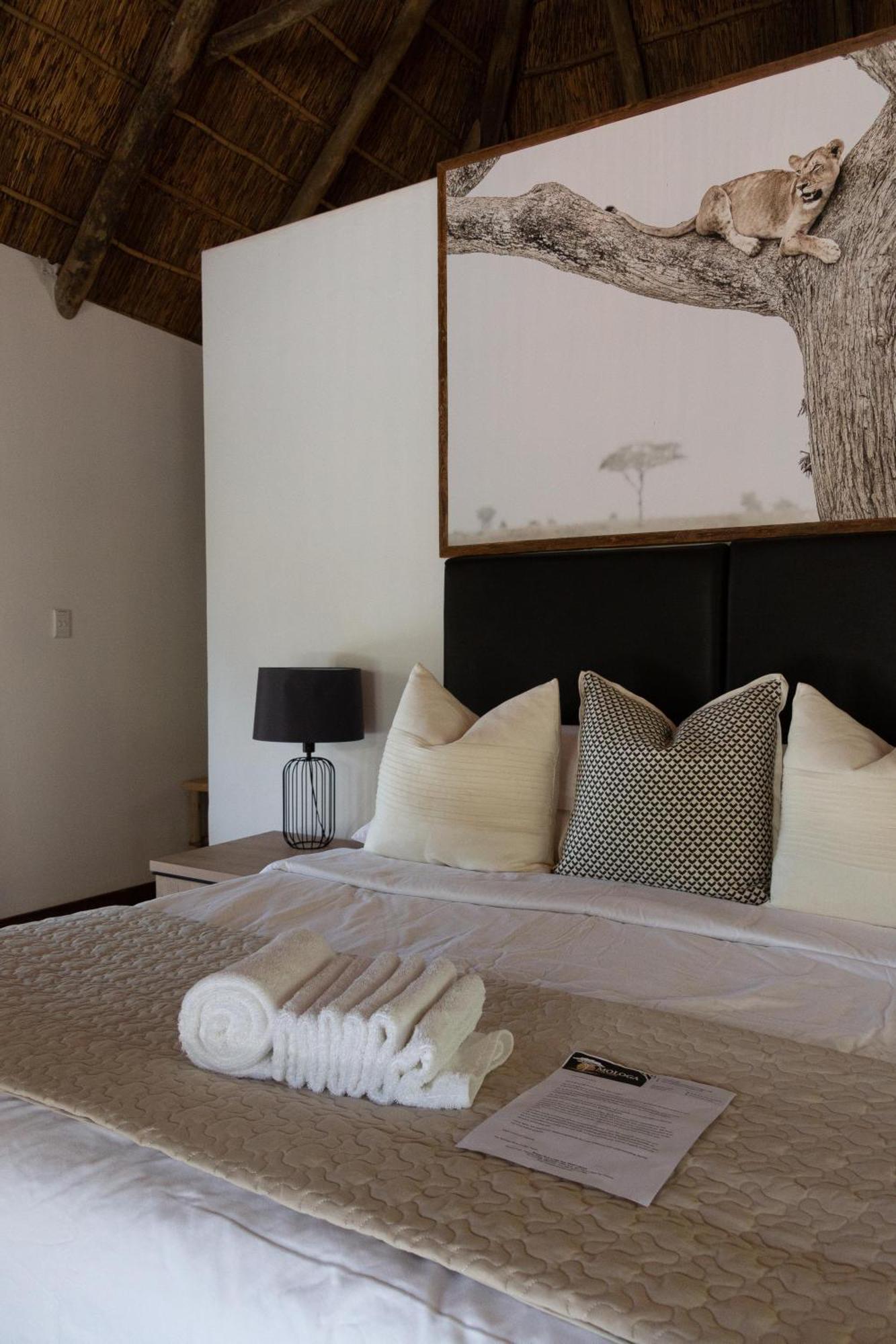 Mologa River Lodge Rust de Winter Екстер'єр фото