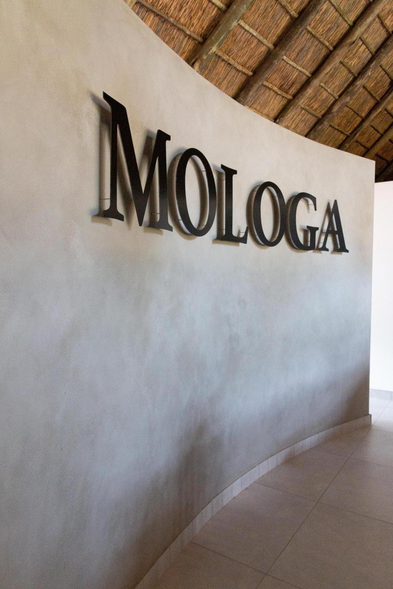 Mologa River Lodge Rust de Winter Екстер'єр фото